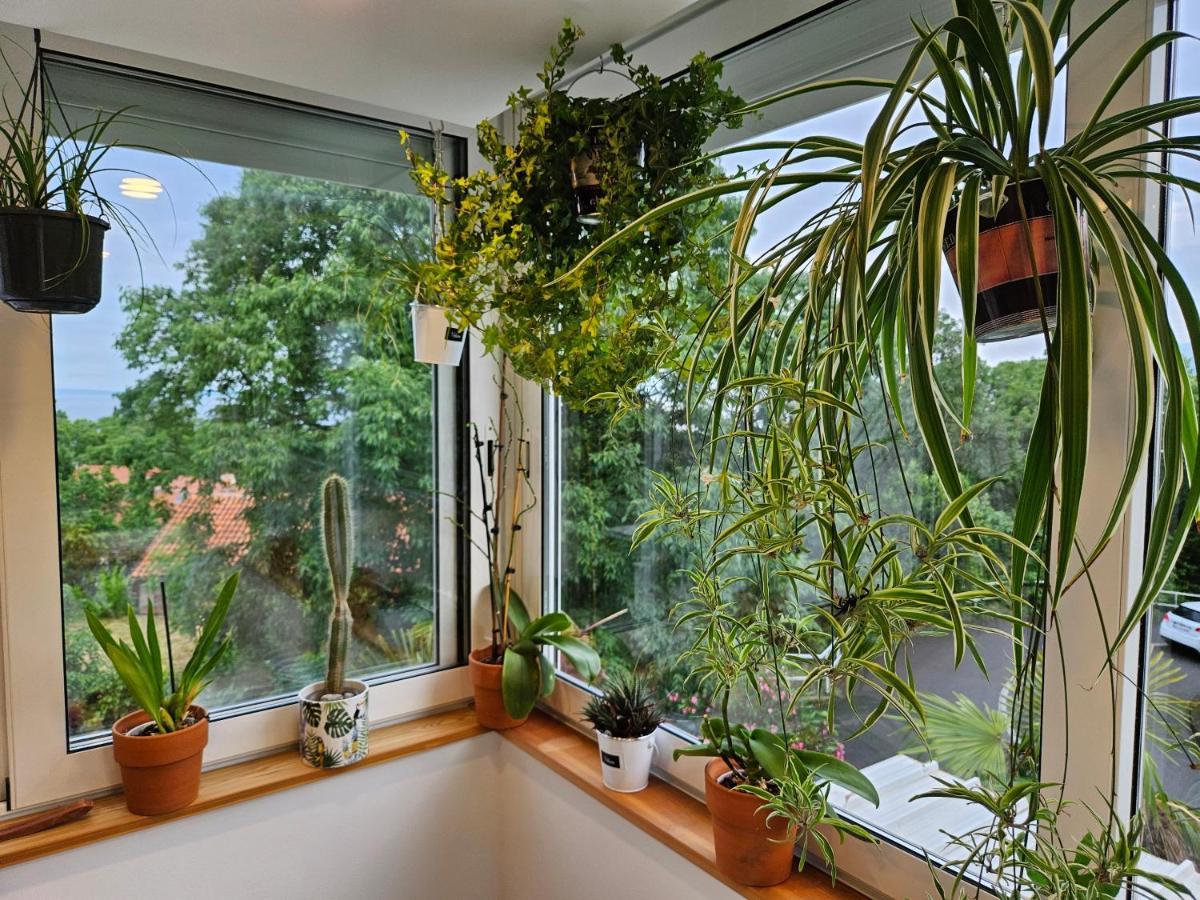 Apartman Carnevalus Rijeka Ngoại thất bức ảnh